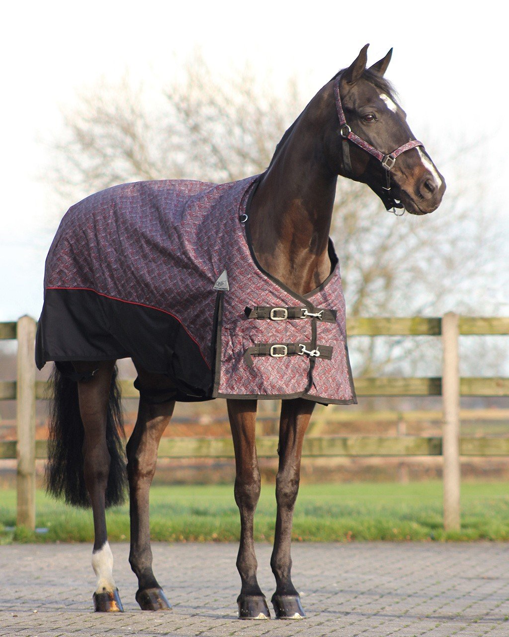 Gebiss mit  Rechnungasdasd