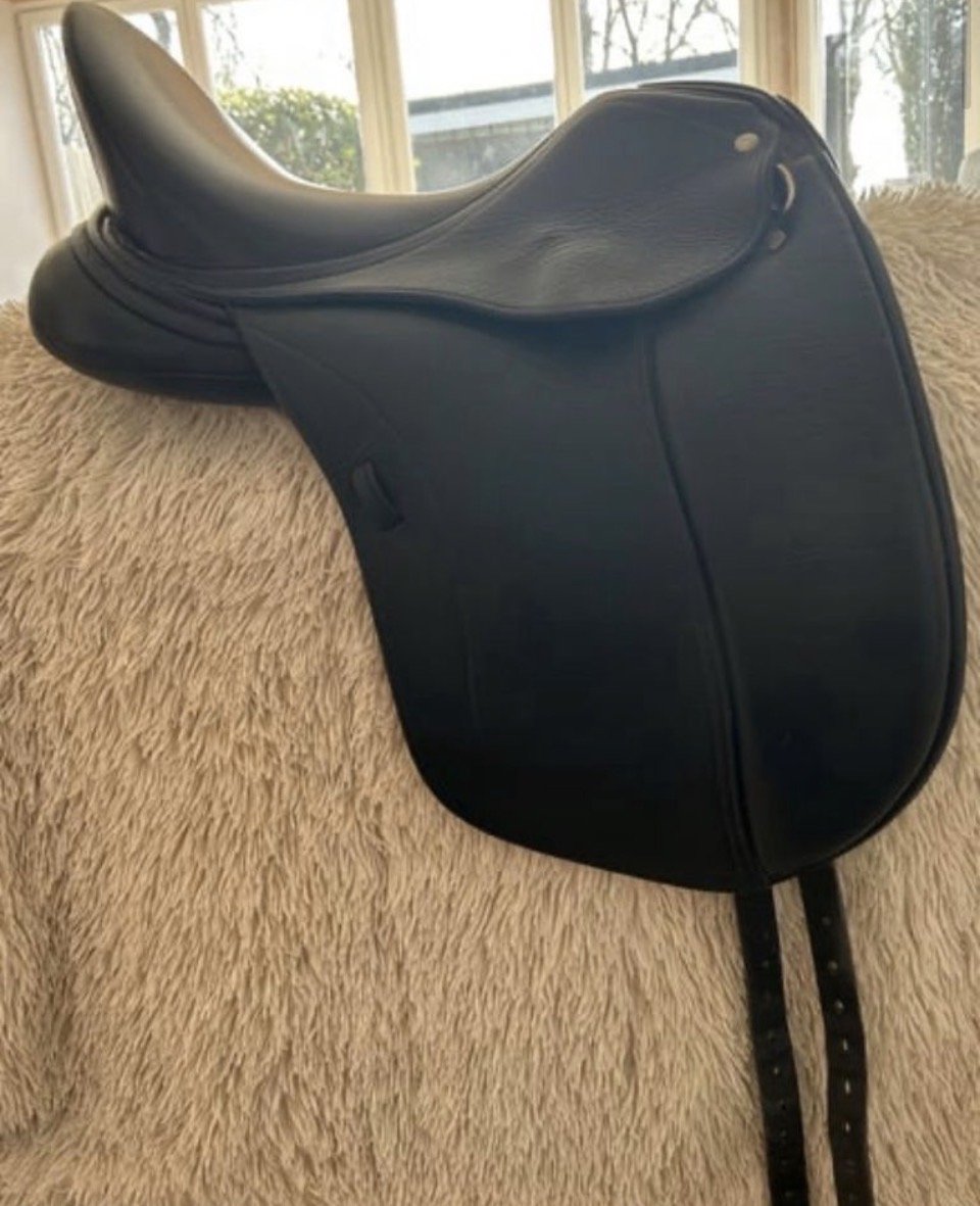 Dressursattel Schleese Modell Bubi