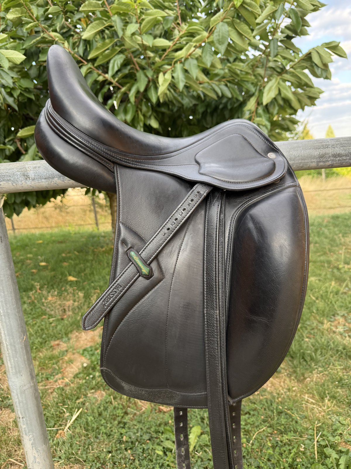 Amerigo Pasubio Pinerolo Dressur 17“